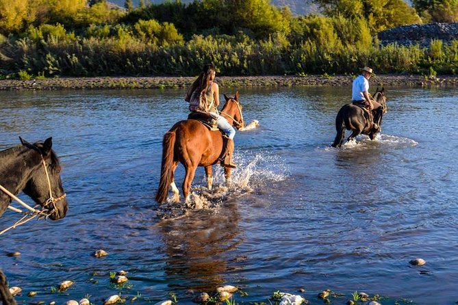 Horseback Private Wine Tour and Country Grill from Santiago - From Santiago to the Maipo Valley