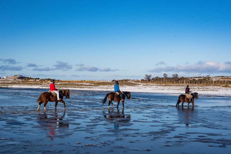 Horseback Riding near Strait of Magellan - Leaving Punta Arenas for Agua Fresca Lodge