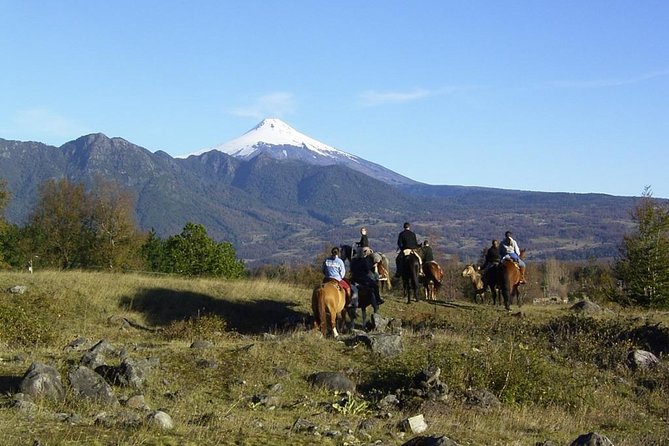 Horseback Trailride Excursion - Key points to know before you saddle up