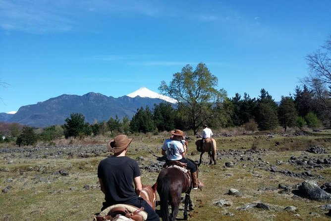 Horseback Trailride Excursion - The waterfall stop