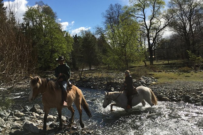 Horseback Trailride Excursion - Getting started at Antilco Horsetrekking