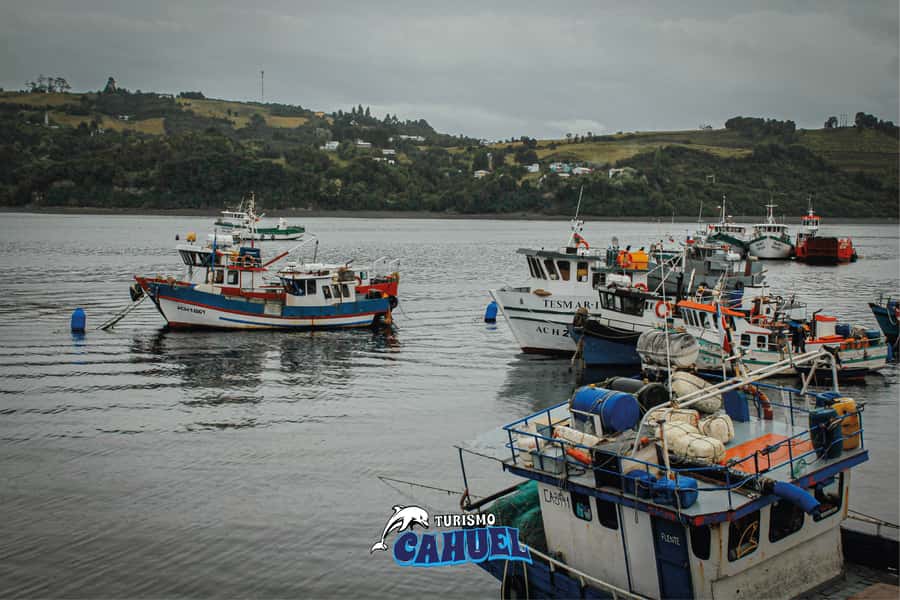 Inner Coast of Chiloé: Road and Sea. - Tocoihue Waterfall and the island’s darker stories