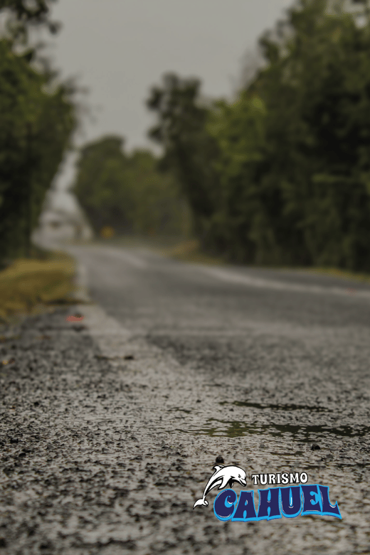 Inner Coast of Chiloé: Road and Sea. - Guide Jonathan and the human side of the day