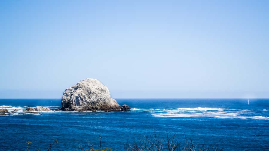 ISLA NEGRA AND ALGARROBO WITH VINICOLA UNDURRAGA - TOUR : CHILE - Who will enjoy this day most