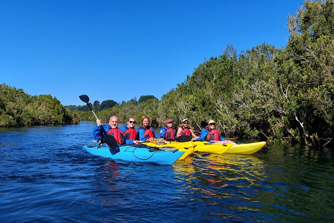 Kayak through the Sunken Forest of the Maullín River - How difficult is the four-hour paddle?