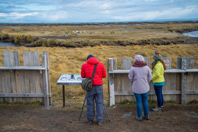 King Penguin Nature Reserve - Tierra del Fuego Island - A 5:00 am start and a full day on the road