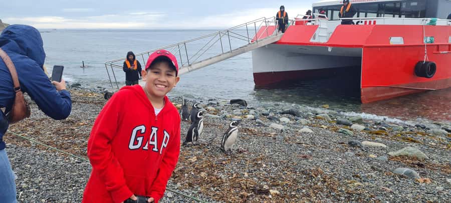 Magdalena Island: Walk with the penguins - Meeting the Magellanic penguins