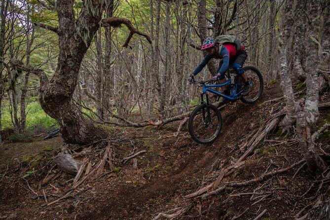 Mountain Bike Adventure in Punta Arenas - Key points to know before you ride