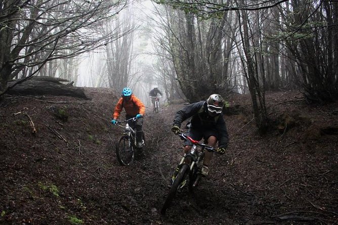 Mountain Bike Adventure in Punta Arenas - What makes the day feel personal
