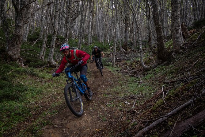 Mountain Bike Adventure in Punta Arenas - Through Magallanes National Reserve