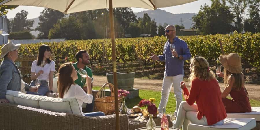 Palmilla: Picnics Tour - Choosing Your Bottle of Wine