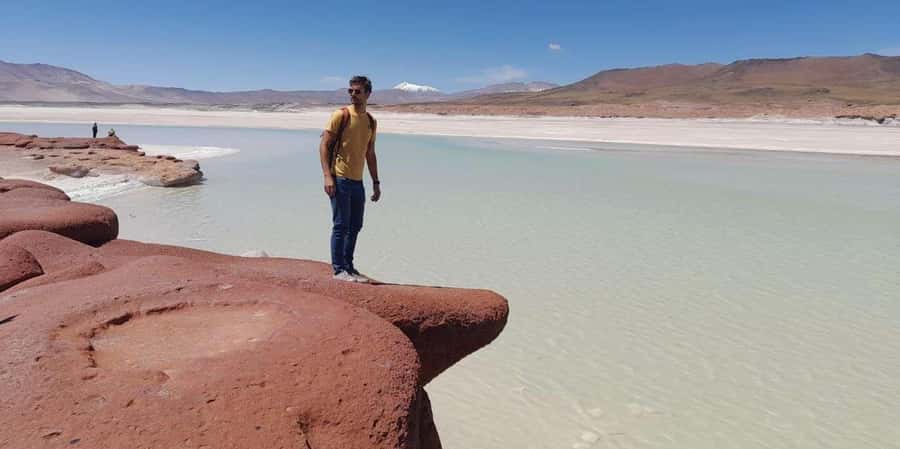 Piedras Rojas, Altiplanics Lagoons & Salar Full-Day Tour - Why This Atacama Day Trip Covers So Much