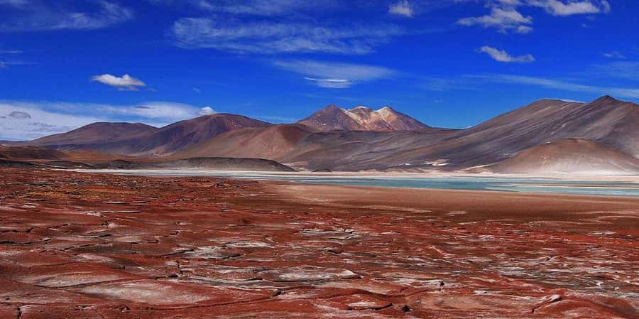 Piedras Rojas, Altiplanics Lagoons & Salar Full-Day Tour - Piedras Rojas and the Purple Stones