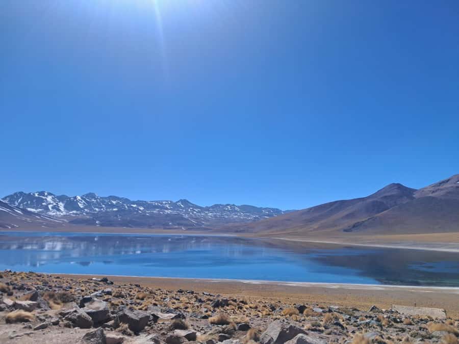 Piedras Rojas, Altiplanics Lagoons & Salar Full-Day Tour - Guides, Drivers, and the Small-Group Feel