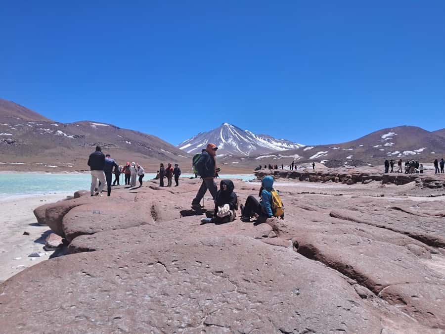 Piedras Rojas, Altiplanics Lagoons & Salar Full-Day Tour - What to Pack for the Altiplano