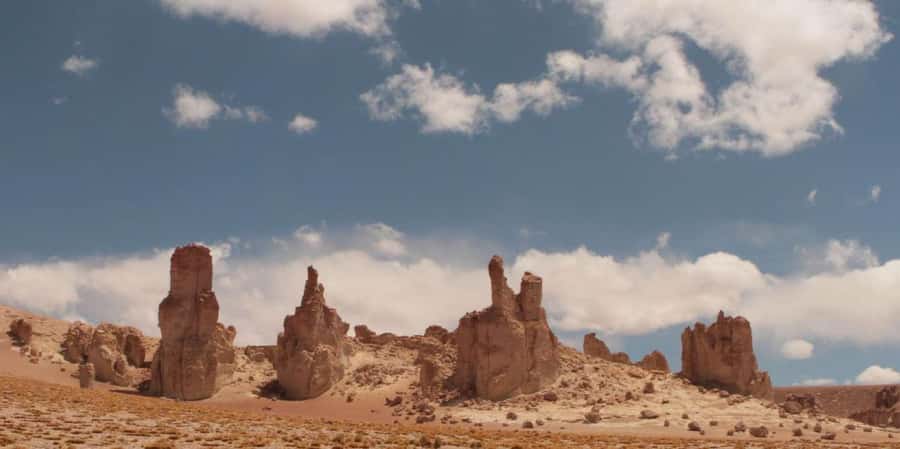 Piedras Rojas, Altiplanics Lagoons & Salar Full-Day Tour - Miscanti and Miñiques at 4,200 Meters