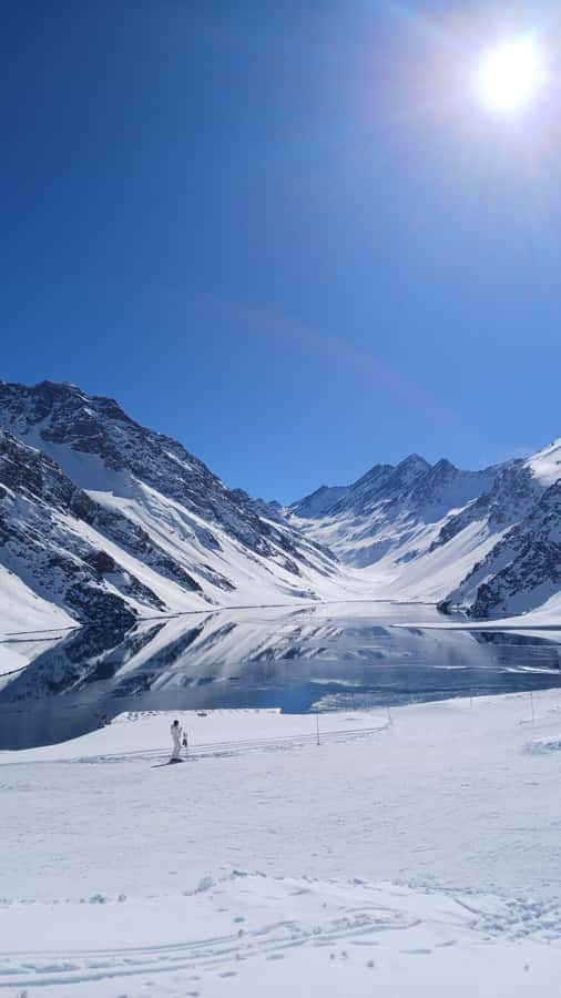 Portillo + Laguna del Inca with picnic - Key points to know before you book