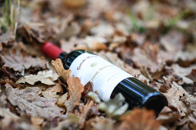 "Premium Wine Tour" Viña Cousiño Macul Official english - Guides who turn a tasting into a lesson