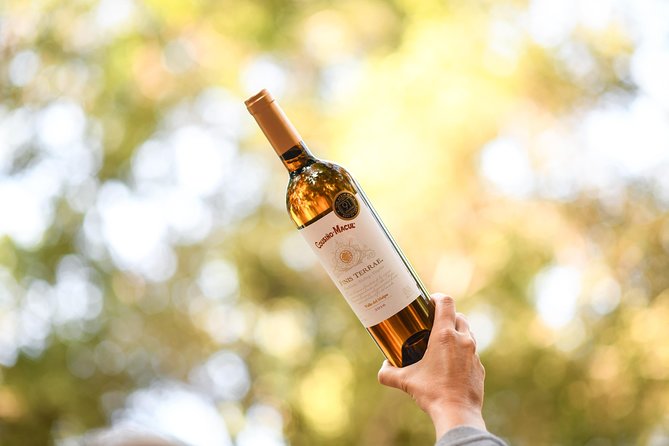 "Premium Wine Tour" Viña Cousiño Macul Official english - Getting there from central Santiago