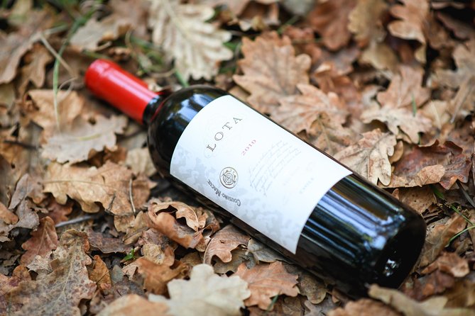 "Premium Wine Tour" Viña Cousiño Macul Official english - Who will enjoy this $45 experience most
