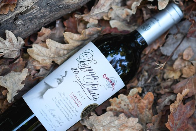 "Premium Wine Tour" Viña Cousiño Macul Official english - Booking advice and cancellation details