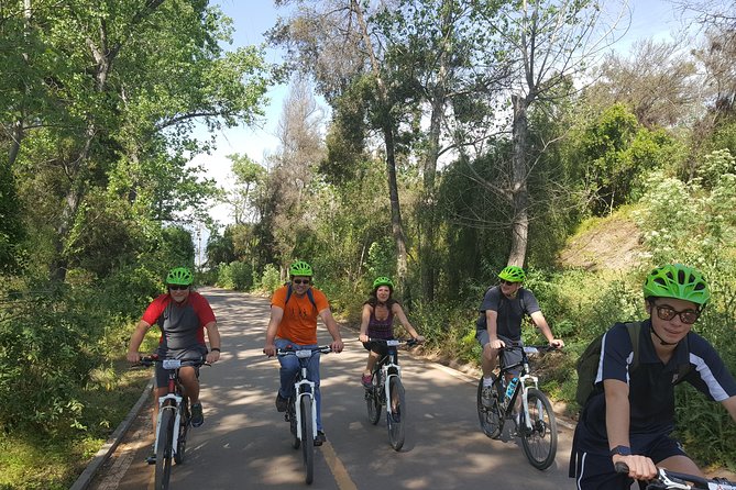 Private Full-Day Bike Tour of Santiago Cultural 5-6 hrs - Central Market and Forestal Park change the pace