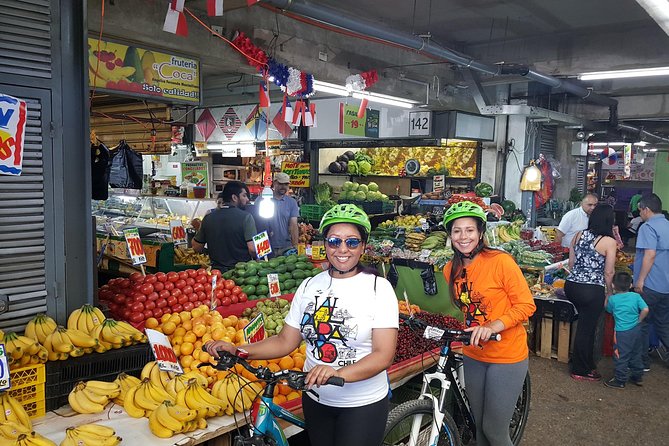 Private Full-Day Bike Tour of Santiago Cultural 5-6 hrs - Bellavista and La Chascona begin the morning
