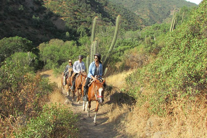 Private Horseback Adventure in the Andes, with Picnic & Wine - Key points to know before you book