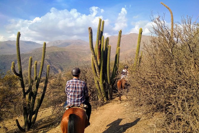 Private Horseback Adventure in the Andes, with Picnic & Wine - Arriving at the arriero ranch for coffee and lunch