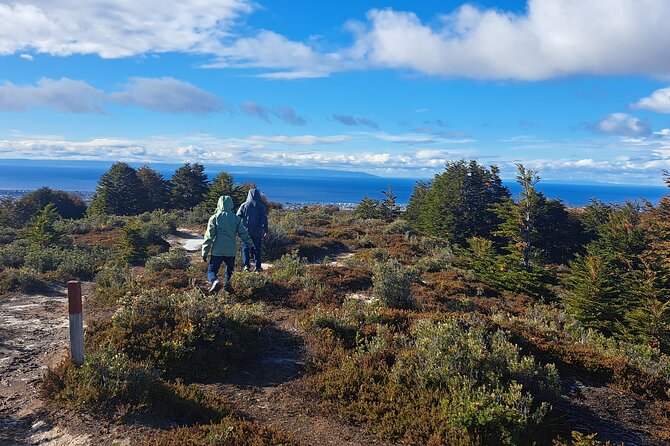Private Patagonian Forest Hike in Punta Arenas: 4 Hour - Quick points to know before booking