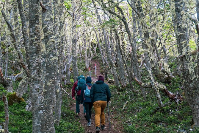 Private Patagonian Forest Hike in Punta Arenas: 4 Hour - Jamie and Manuel bring a personal touch