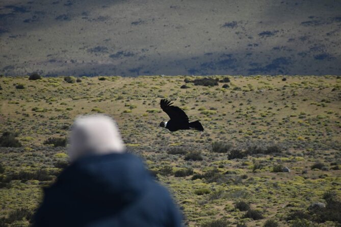 Private Torres del Paine & Milodon, departing from Punta Arenas - Weather, walking, and the full-day stamina test