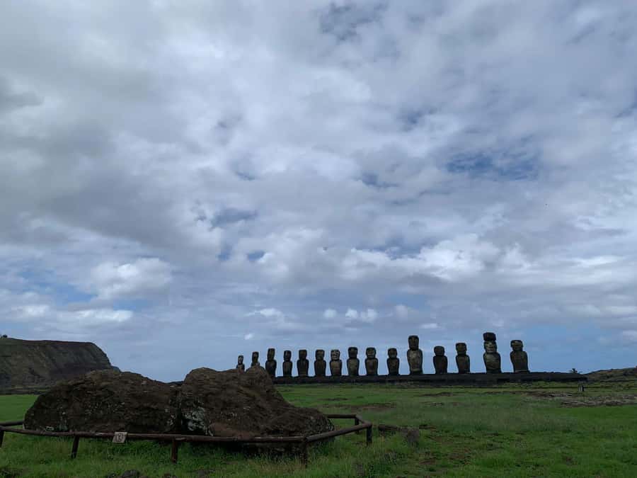Private tour: where the history of the Moai was born - Akahanga shows the island before restoration