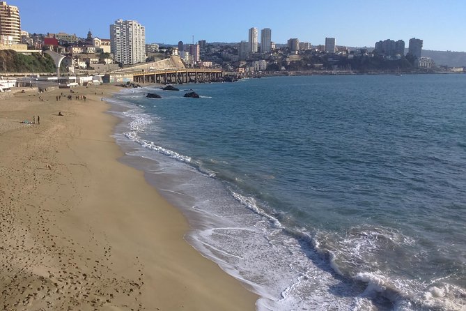 Private Valparaíso & Viña del Mar Day Trip with Boutique Winery - From Santiago to the Casablanca Valley