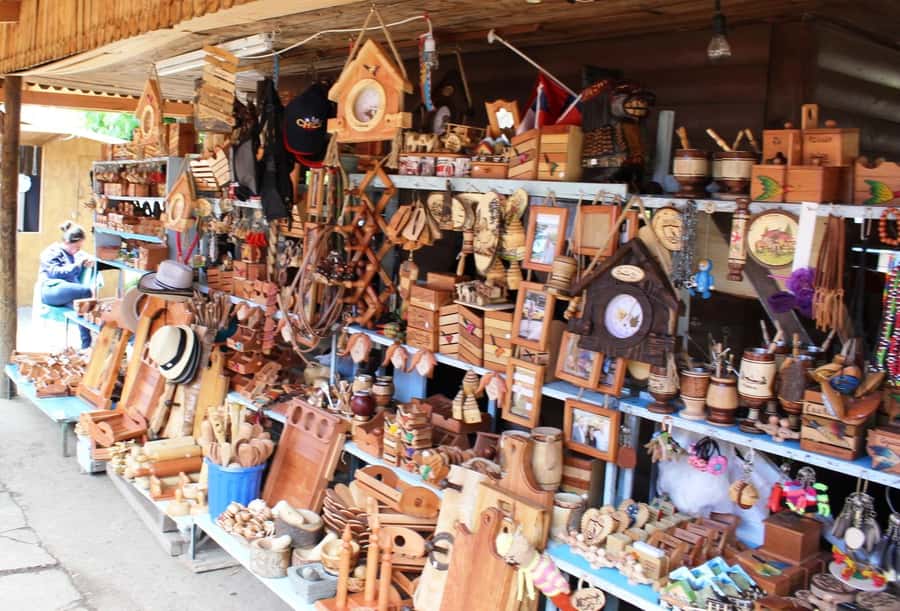 Pucón and Villarrica: Guided Tour with Hotel Pickup - Key points at a glance
