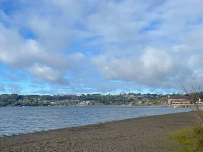 Osorno Volcano Tour Shore Tour in Private