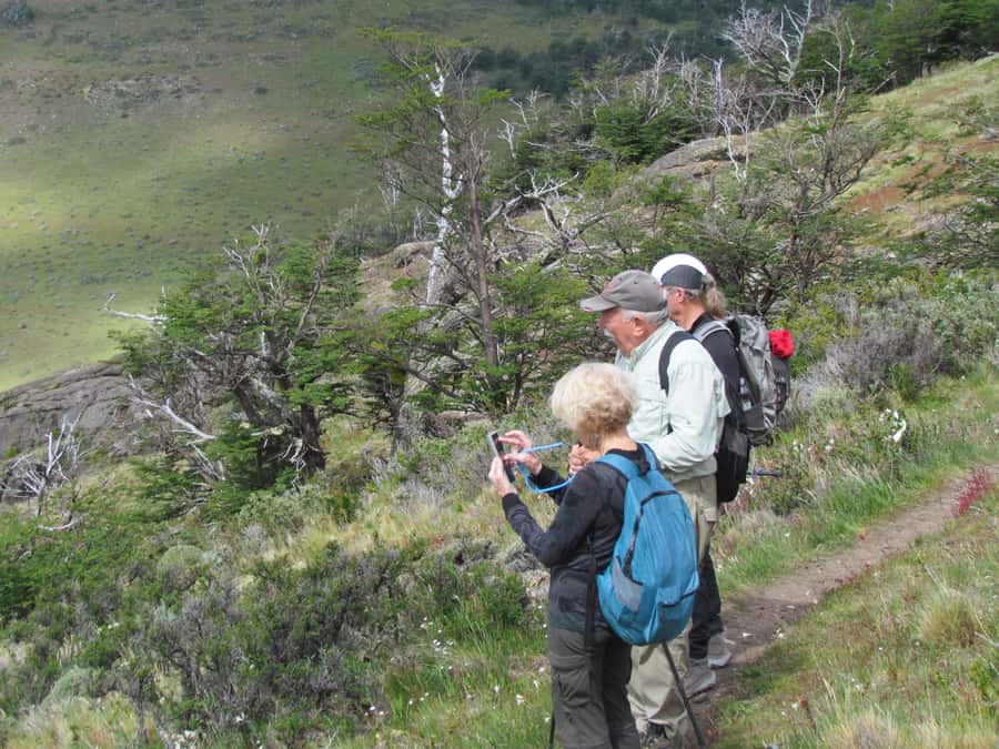 Puerto Natales: Cerro Benitez Half-Day Hike with Condors - Looking for Andean condors