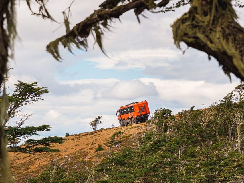 Puerto Natales: Cerro Dorotea 8x8 Tour with Panoramic Views - Walking 100 meters through native forest