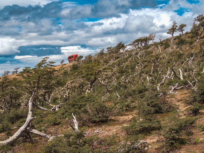 Puerto Natales: Cerro Dorotea 8x8 Tour with Panoramic Views - Booking and timing details that matter