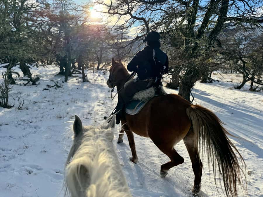 Puerto Natales: Full Day Horse Riding to the Mountains - A horse connection before the Patagonia ride