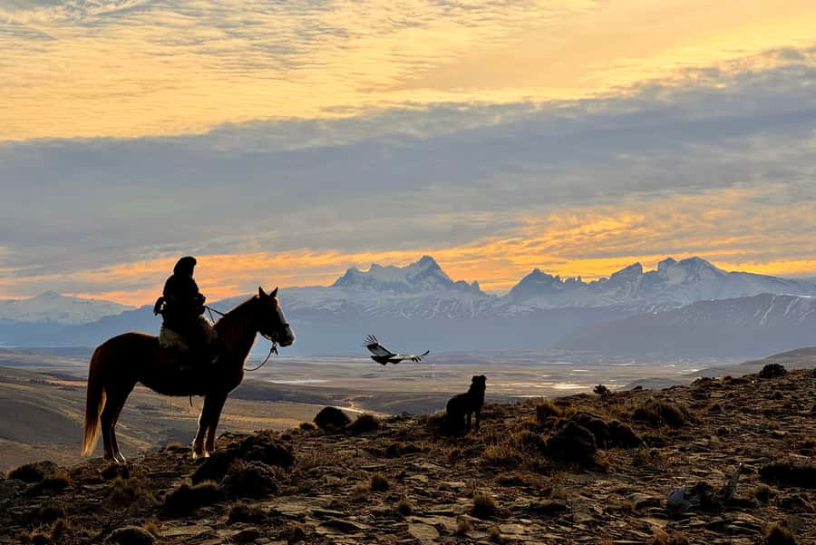 Puerto Natales: Full Day Horse Riding to the Mountains - What makes the guide important