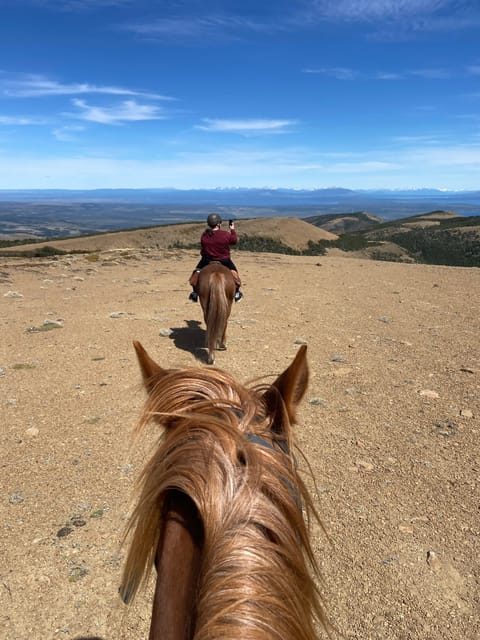 Puerto Natales: Full Day Horse Riding to the Mountains - Is the $360 price good value?