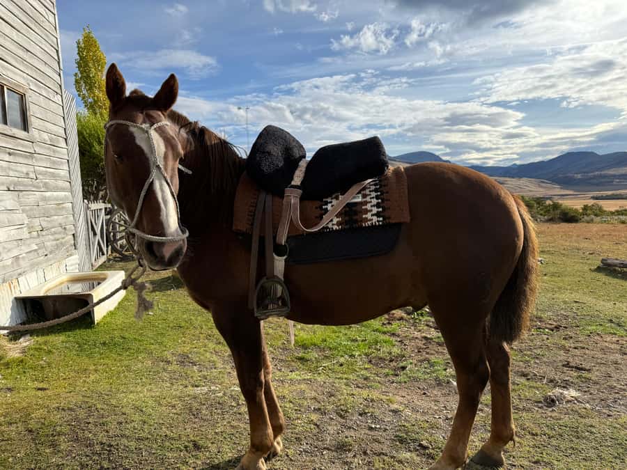 Puerto Natales: Full Day Horse Riding to the Mountains - Riding through forests, lakes, and river crossings