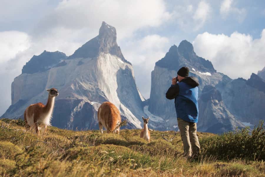 Puerto Natales: Full Day Torres del Paine + Milodon Cave - The route from Puerto Natales to Lago Sarmiento