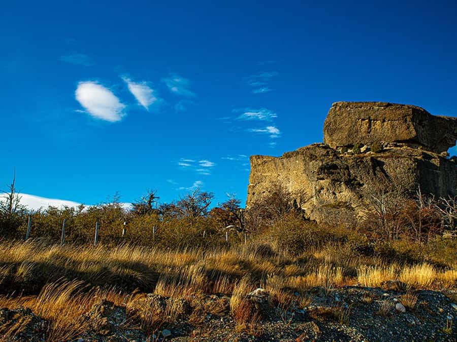 Puerto Natales: Full-Day Torres del Paine Tour - Key points to know before booking