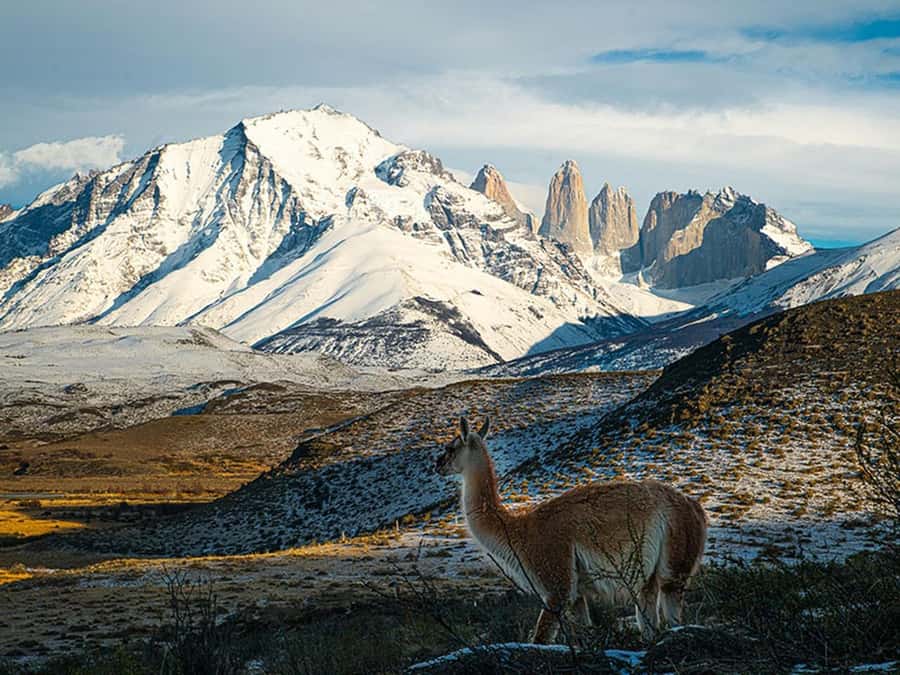 Puerto Natales: Full-Day Torres del Paine Tour - Lake Nordenskjold and the Paine mountain range