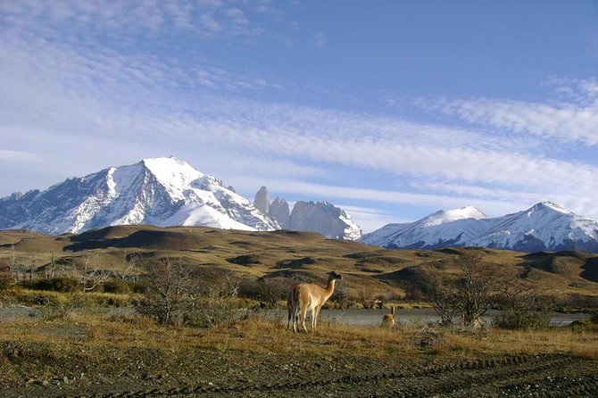 Puerto Natales: Full day tour Torres del Paine - Who this Puerto Natales day trip suits best