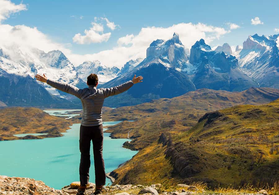 Puerto Natales: Full day tour Torres del Paine National Park - Four Hours Inside Torres del Paine National Park