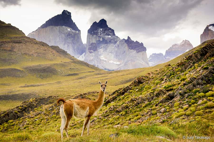 Puerto Natales: Full day tour Torres del Paine National Park - Nordenskjöld Lake and the Changing Light