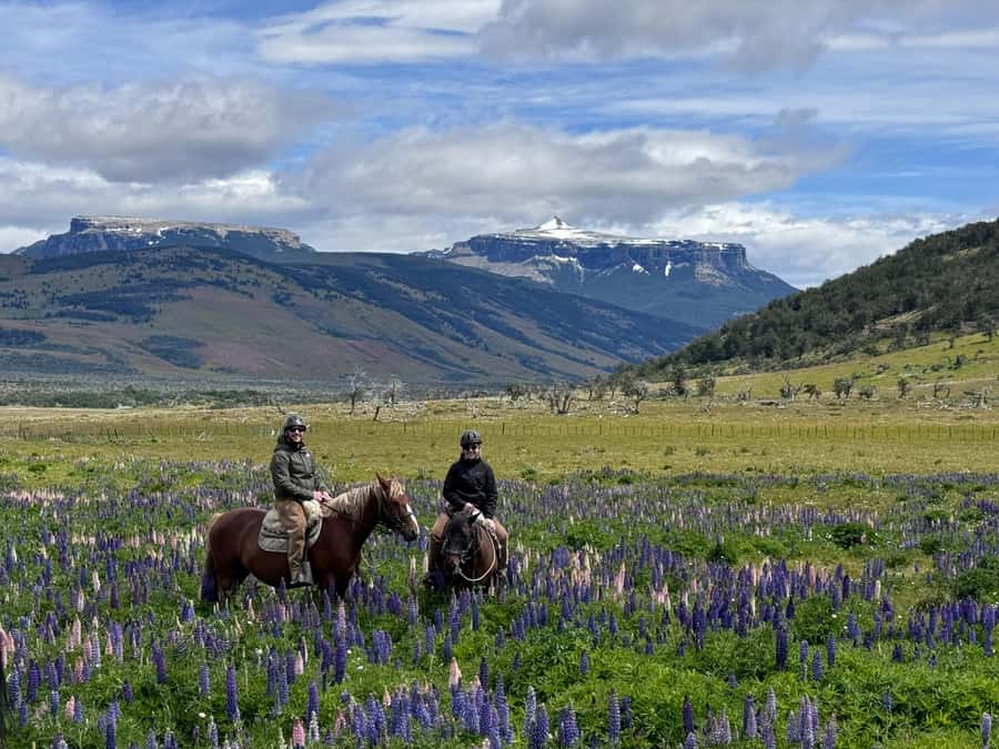 Puerto Natales: Horseback Riding with Horse Connection - Key points to know before booking